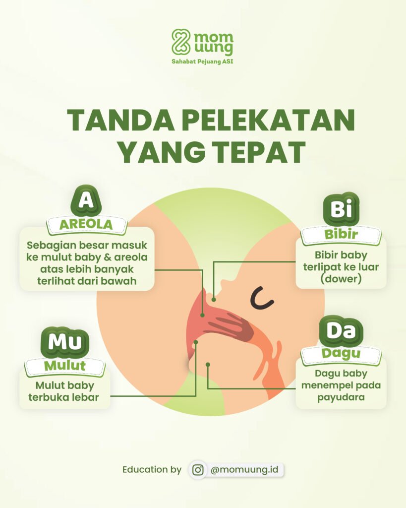 MENYUSUI KULWAP 25 1