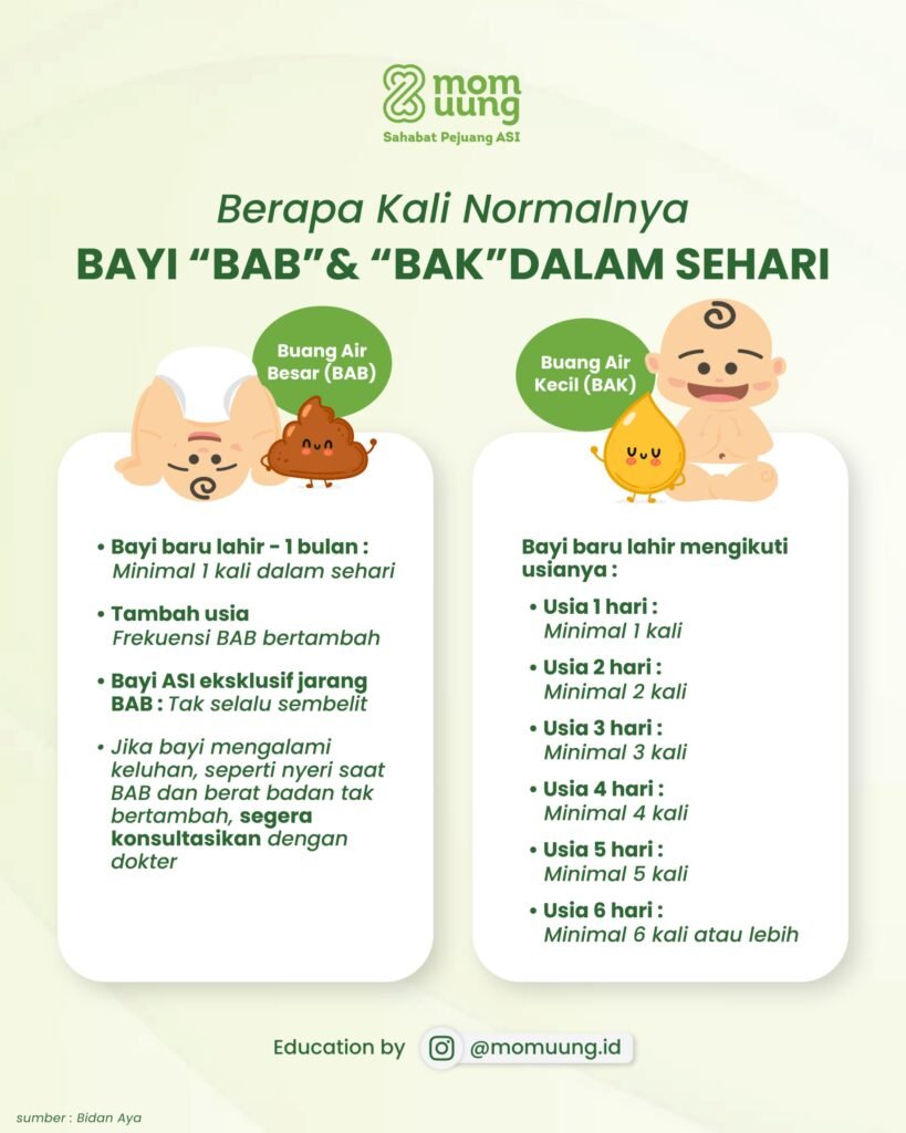 MENYUSUI KULWAP 32 2