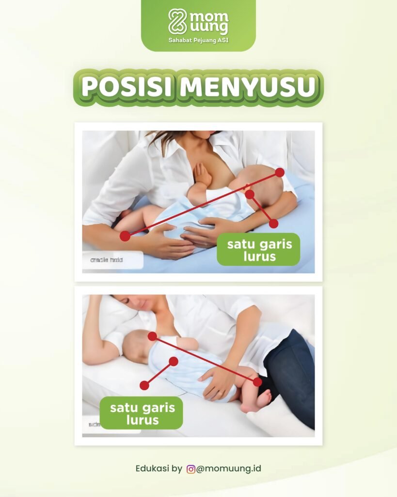 MENYUSUI NOVEMBER 01 1