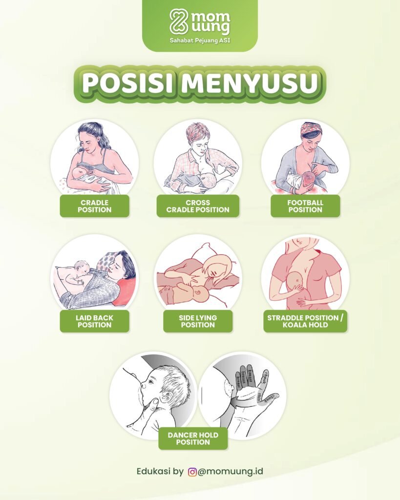 MENYUSUI NOVEMBER 02