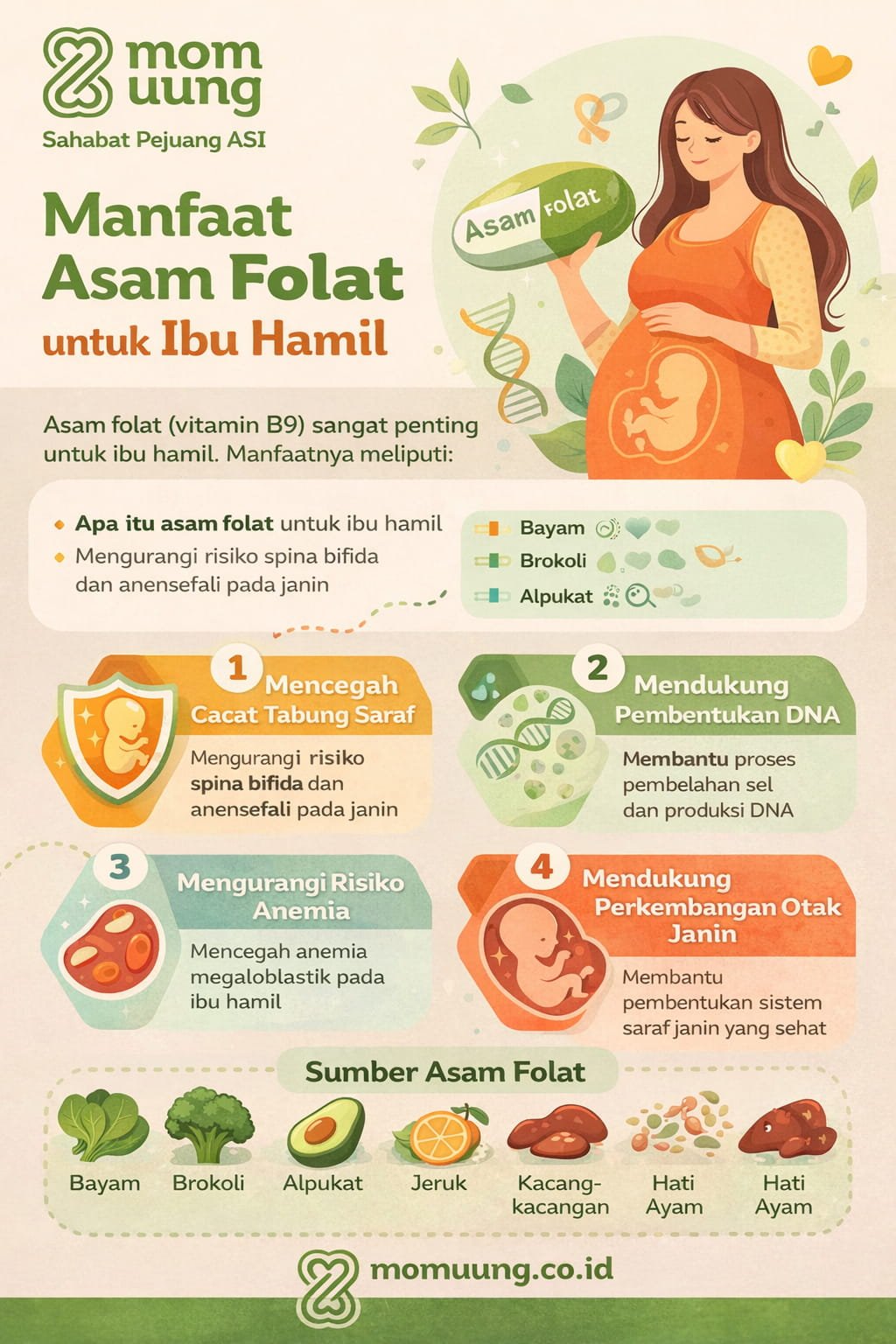 Infographic Manfaat Asam Folat Untuk Ibu Hamil