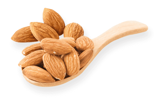 Ekstrak Kacang Almond