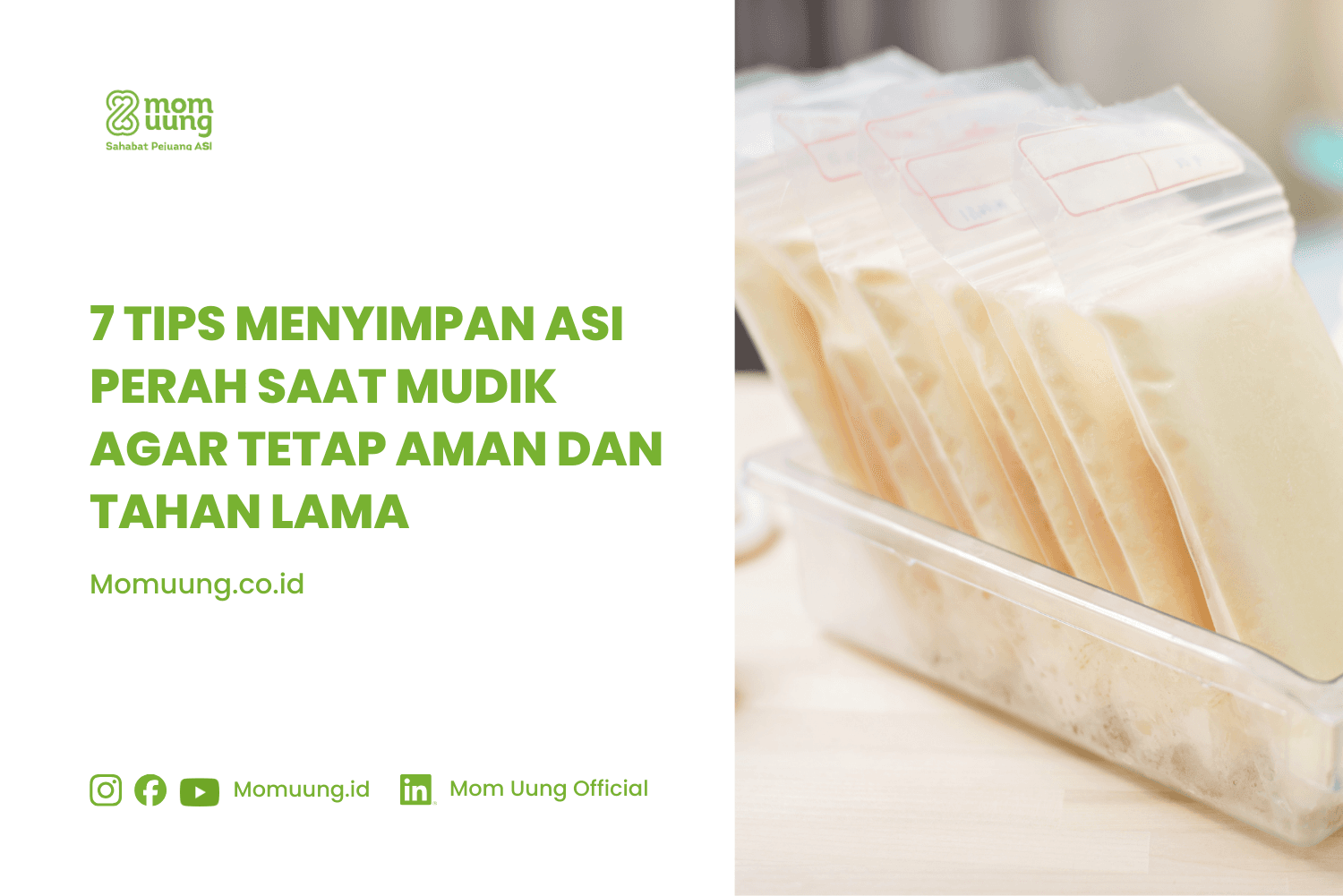 7 Tips Menyimpan ASI Perah Saat Mudik Agar Tetap Aman dan Praktis