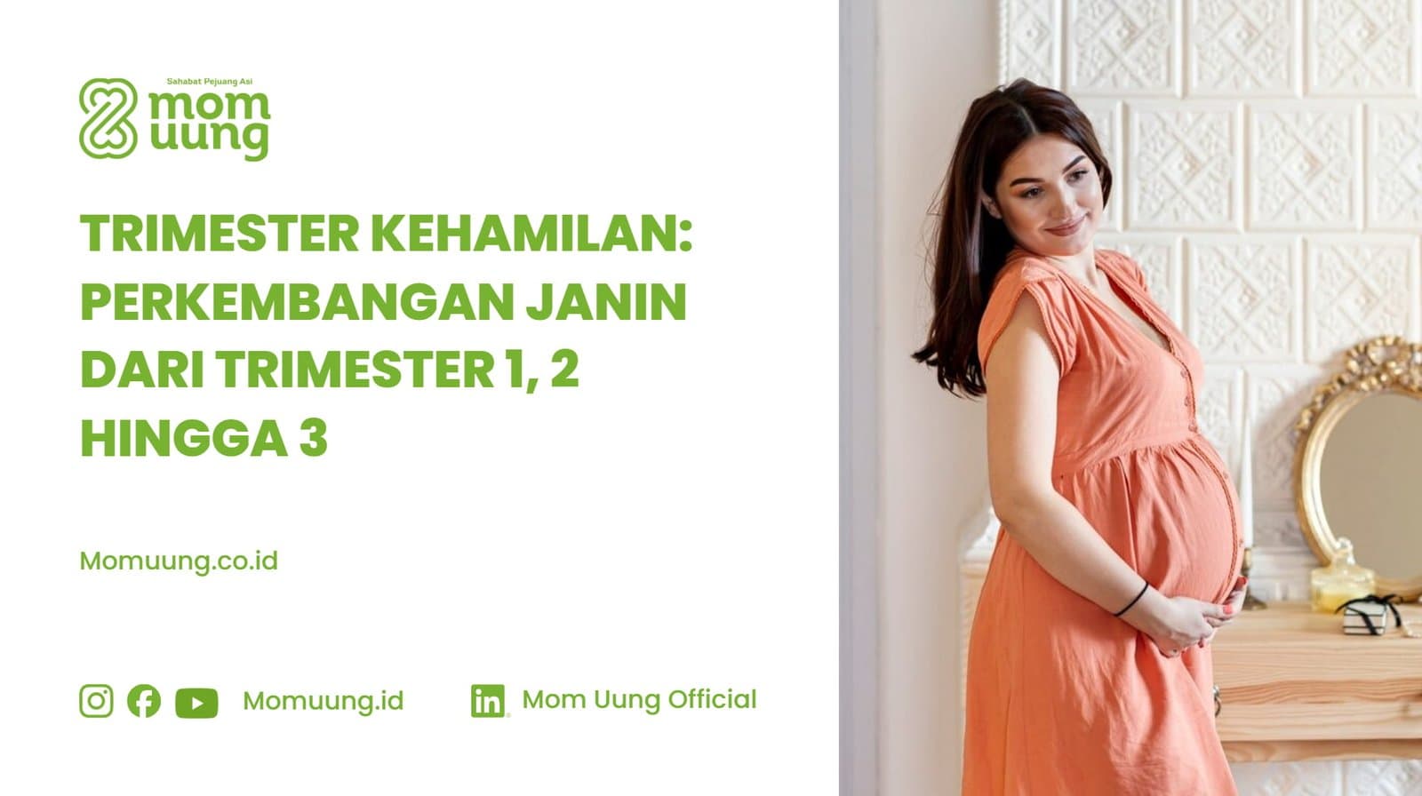 Trimester Kehamilan 1 2 3 Perkembangan Janin Setiap Trimester