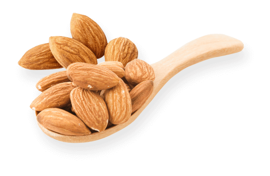 Ekstrak Kacang Almond