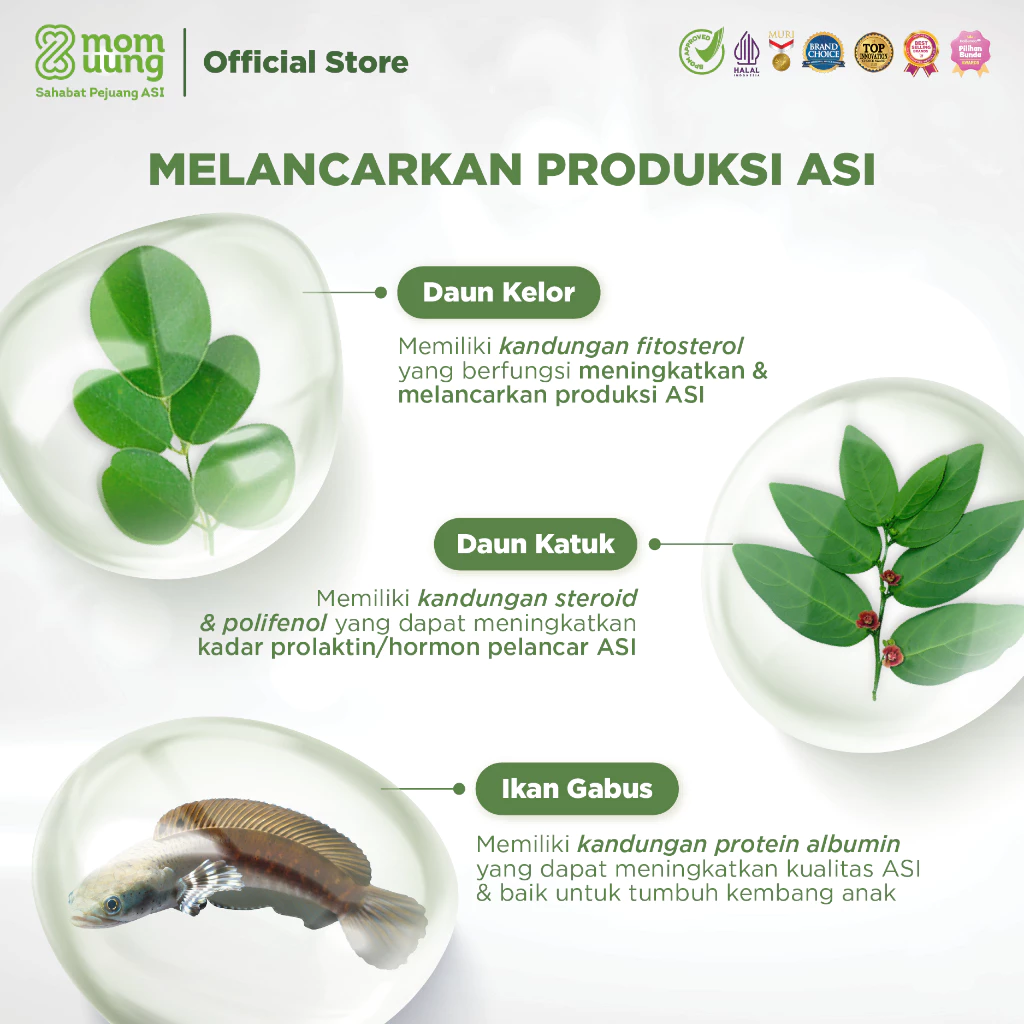Mom Uung Asi Booster Pelasncar ASI Terbaik Dan Ampuh 7
