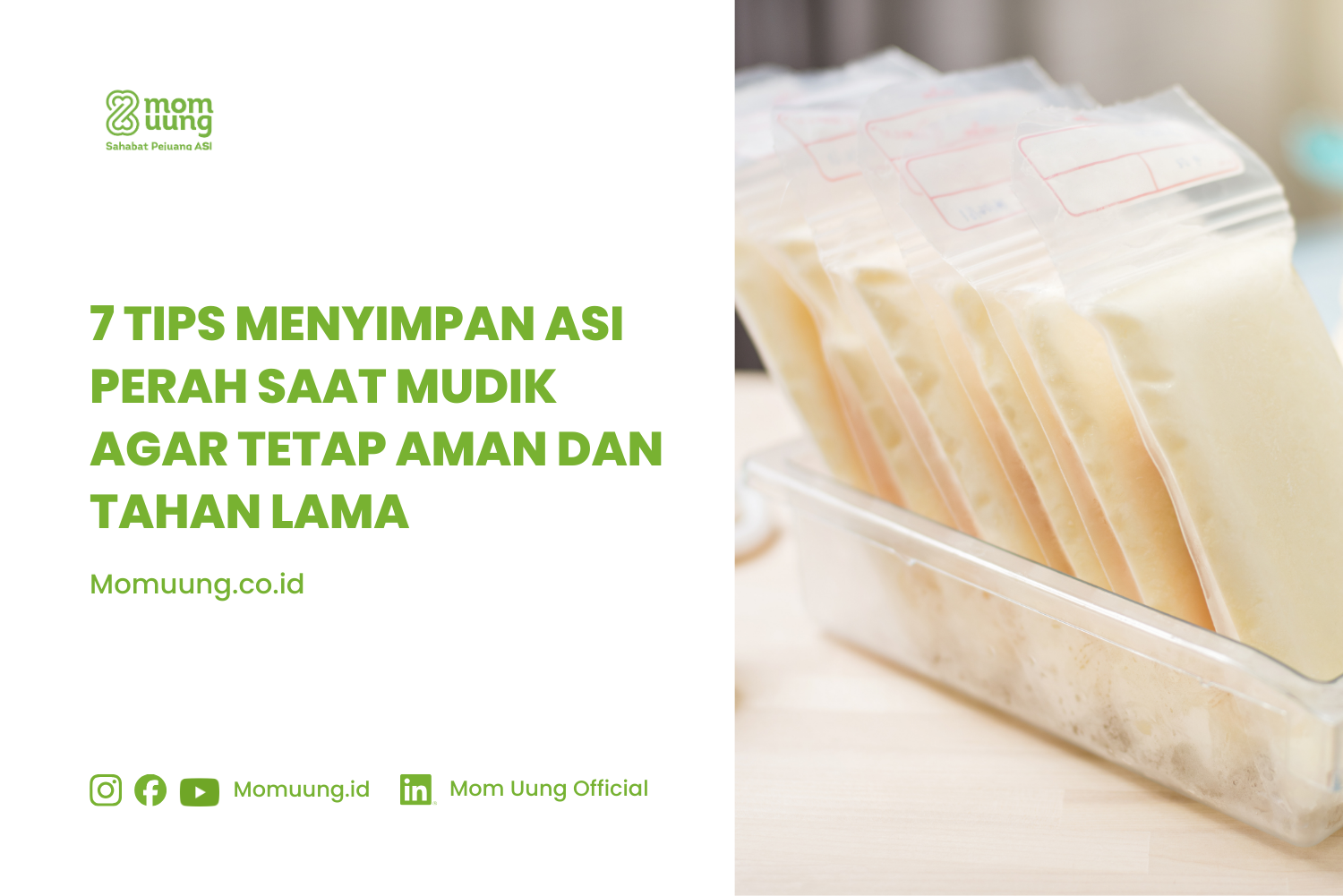 7 Tips Menyimpan ASI Perah Saat Mudik Agar Tetap Aman dan Praktis