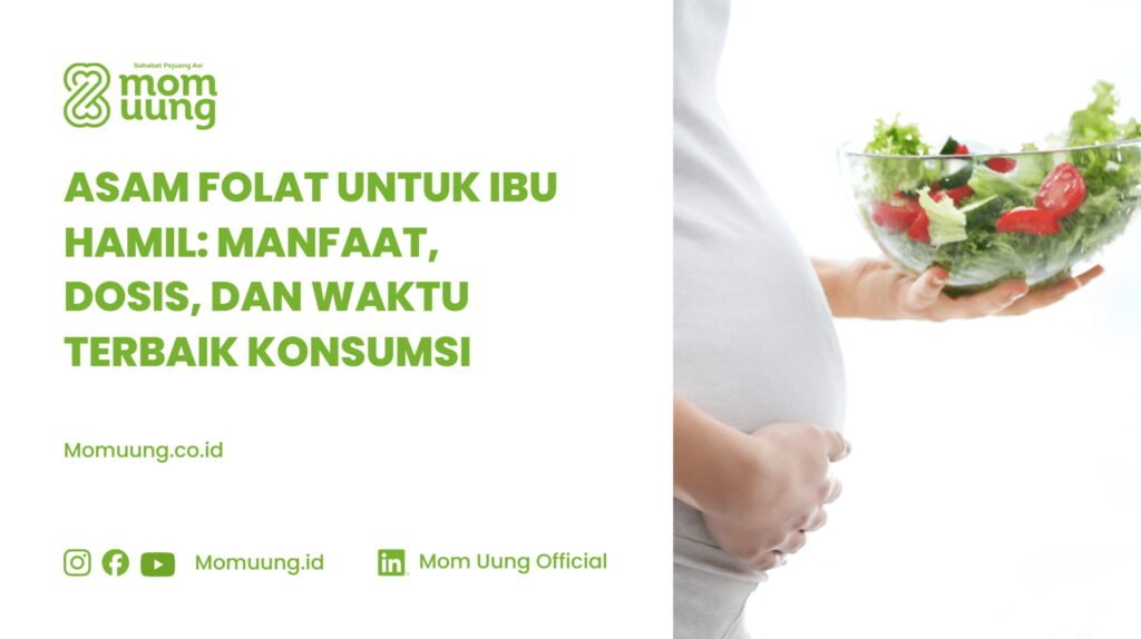 Manfaat Asam Folat Untuk Ibu Hamil